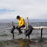 Foto del perfil de Jose Aramayo ripalda